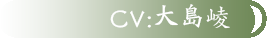 cv:????